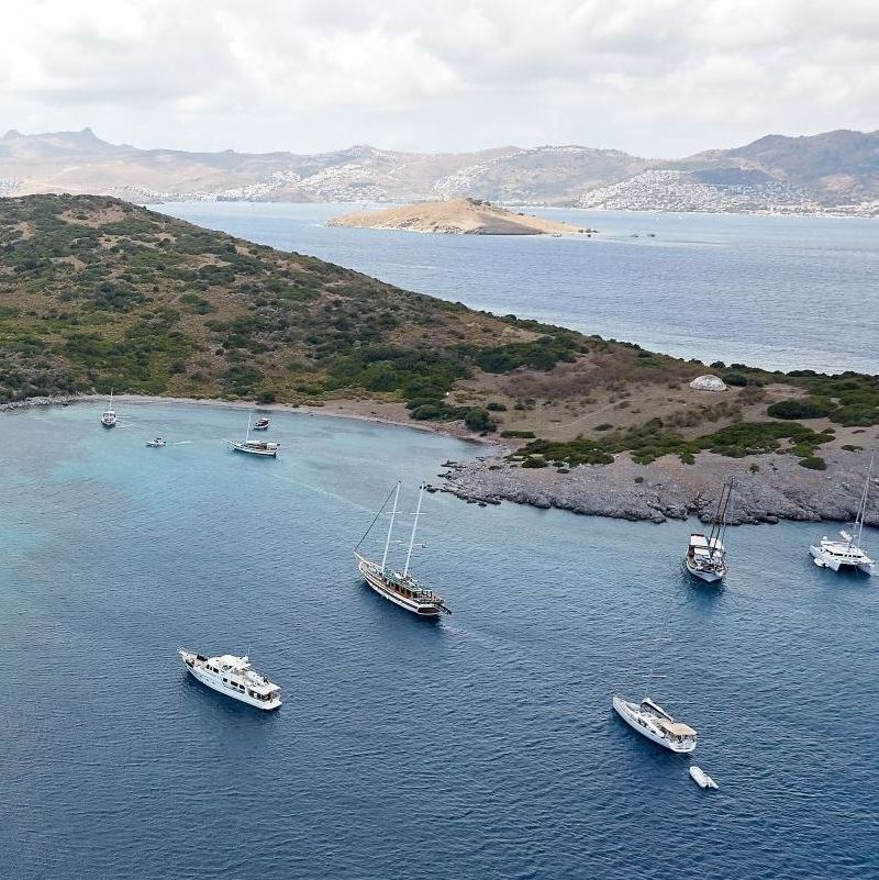 boats