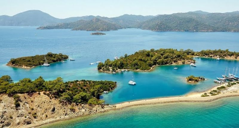 gocek