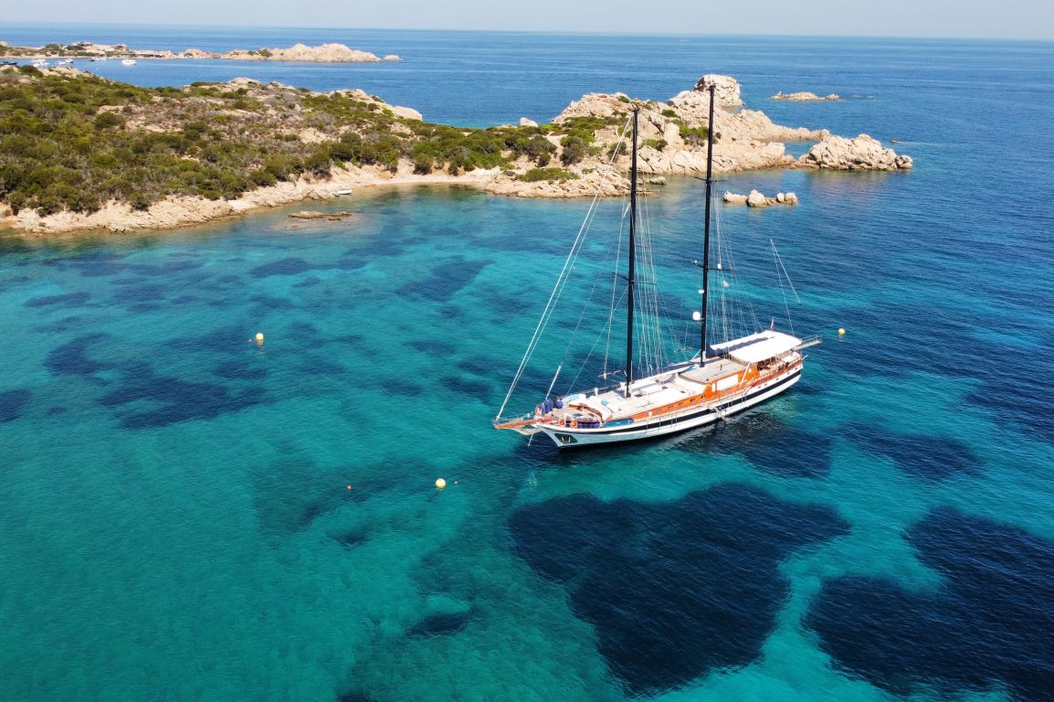 elianora